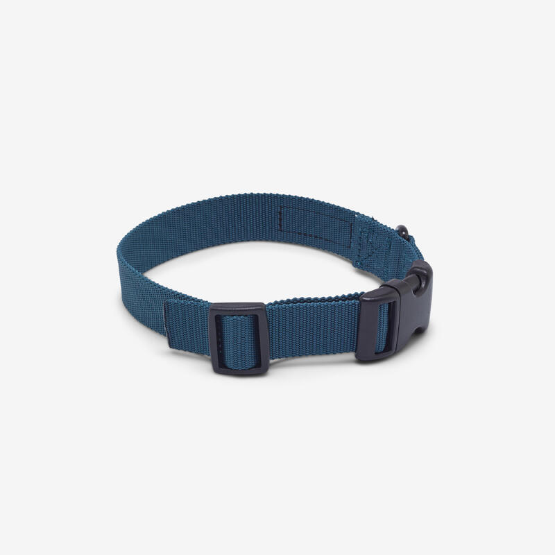 Collier chien 100 bleu