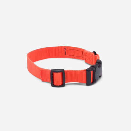 100 dog collar orange