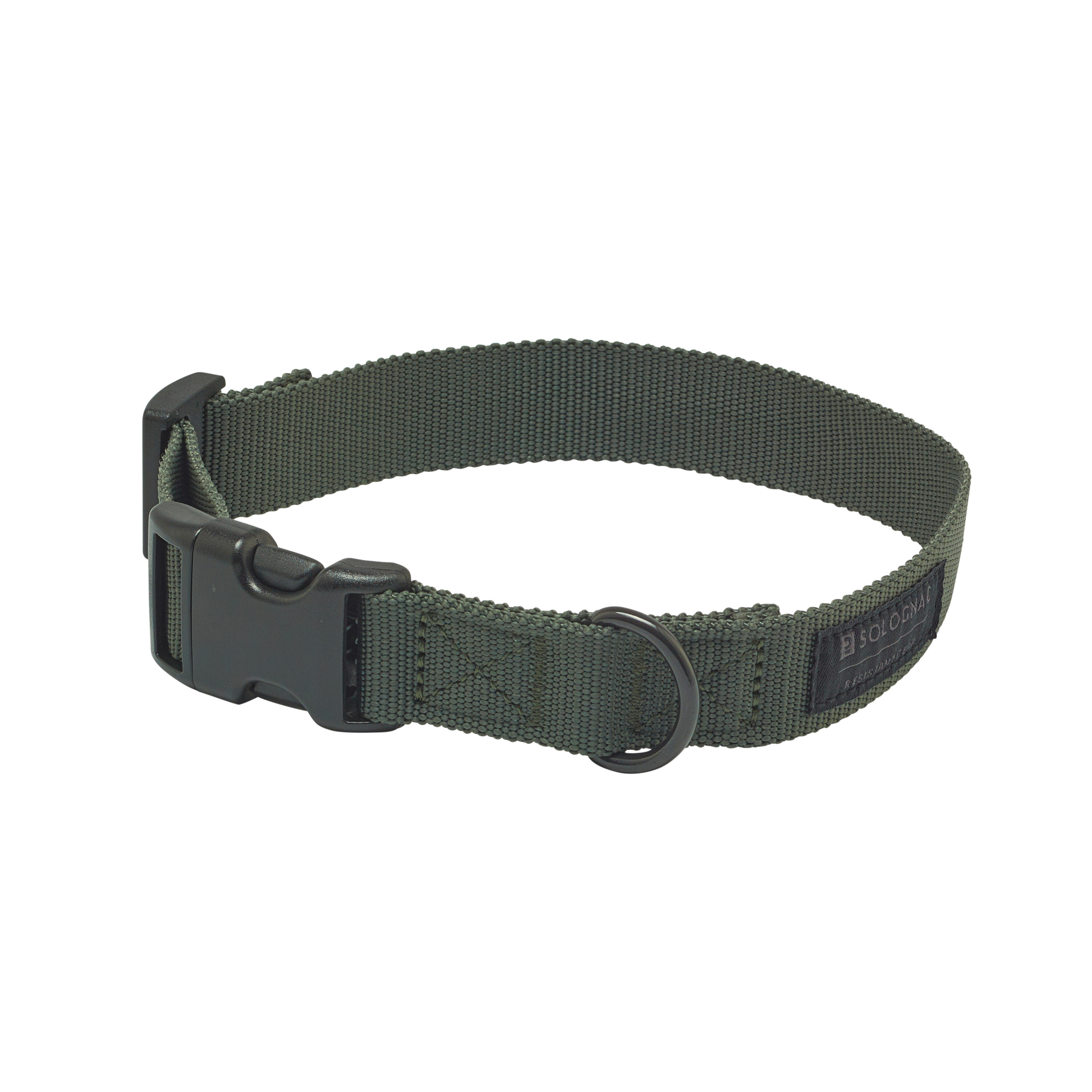 Dog Collar - 100 Green - SOLOGNAC