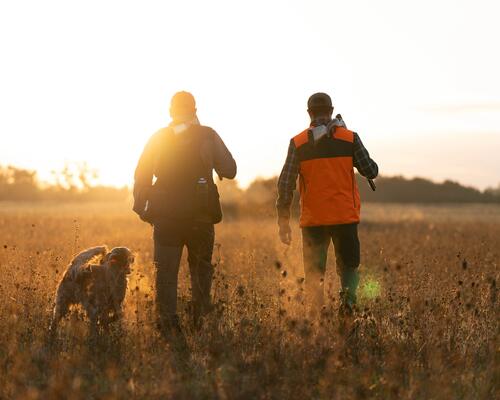 gilet chasse