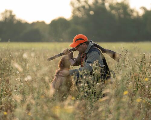 chasse petit gibier solognac