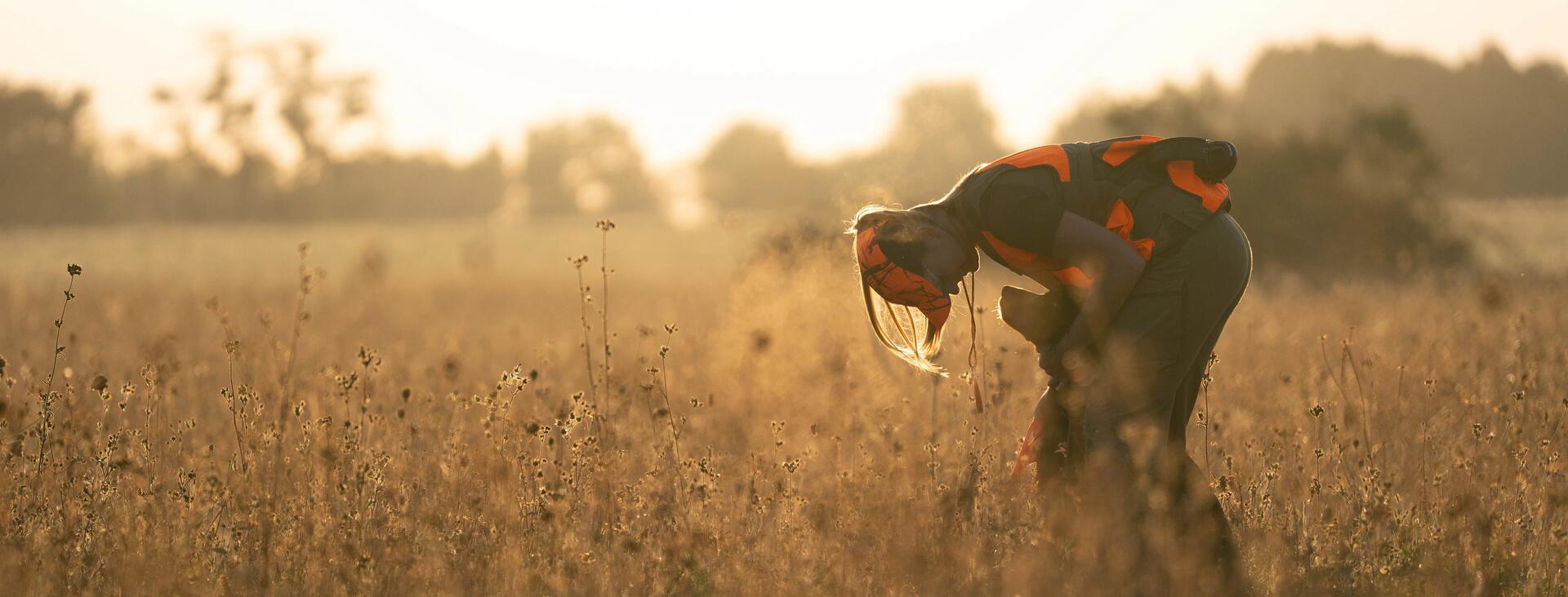 Comment se prémunir d'un coup de chaud à la chasse l'été
