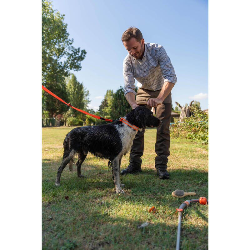 Trela de 3 Posições para Cão de Caça Laranja.