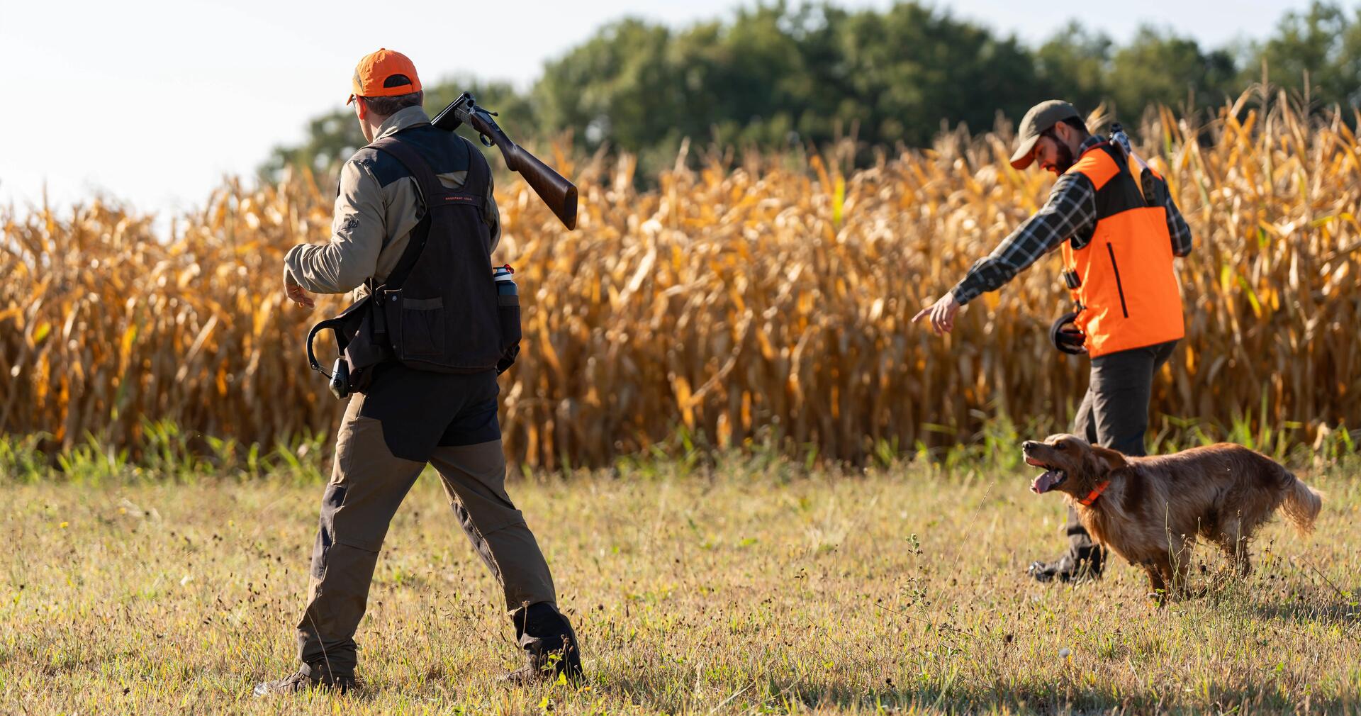 Prevenir du coup de chaud a la chasse l ete