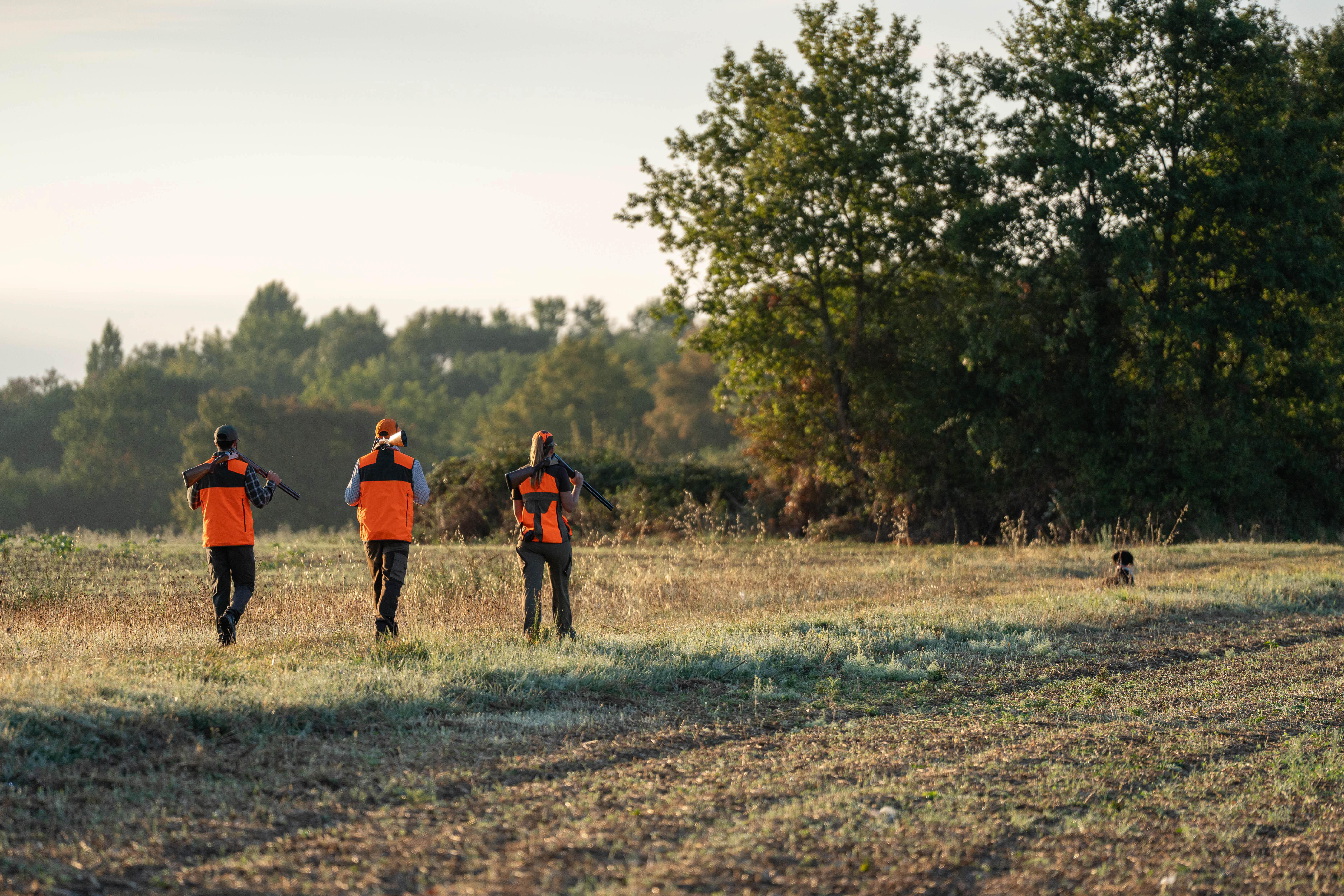 Chemise à carreaux – 100 vert - SOLOGNAC