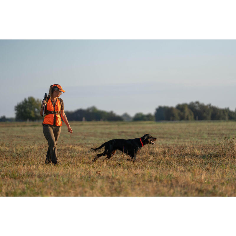 Hundehalsband orange900