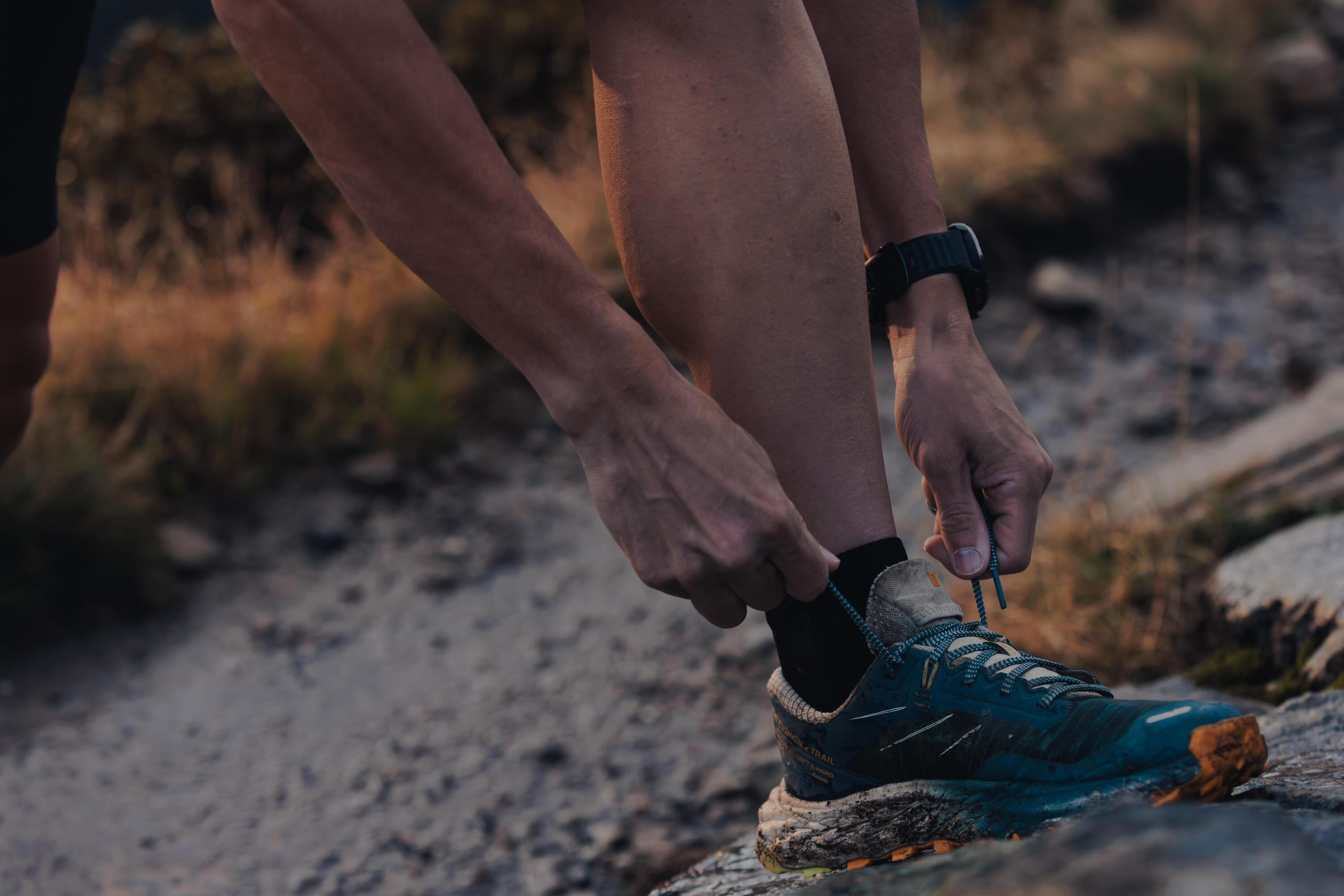Chaussures de trail running pour homme EVADICT MT CUSHION 2 Turquoise 17/17