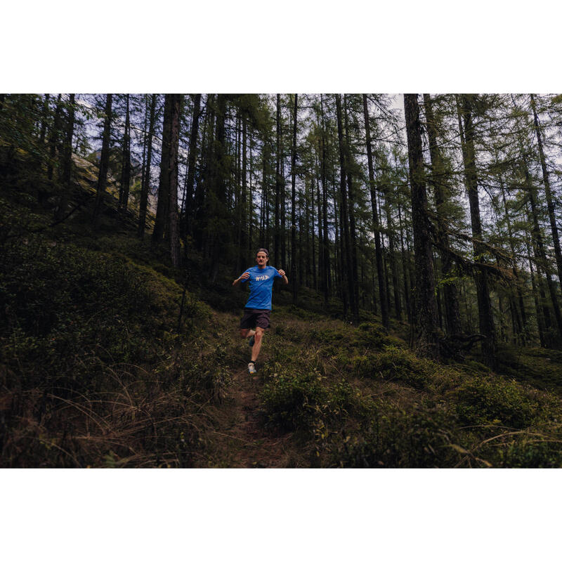 Stevig hardloop- en trailshirt voor heren Run 500 blauw met print