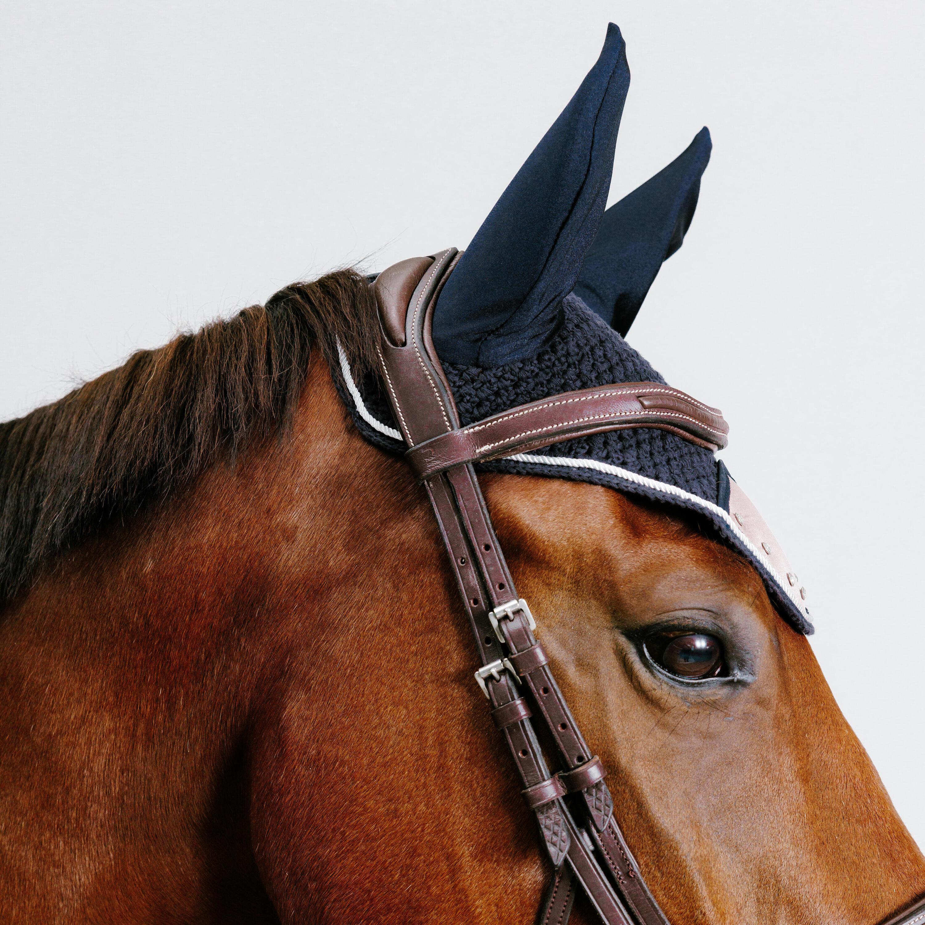 Cuffia equitazione cavallo STRASS rosa antico 2/4