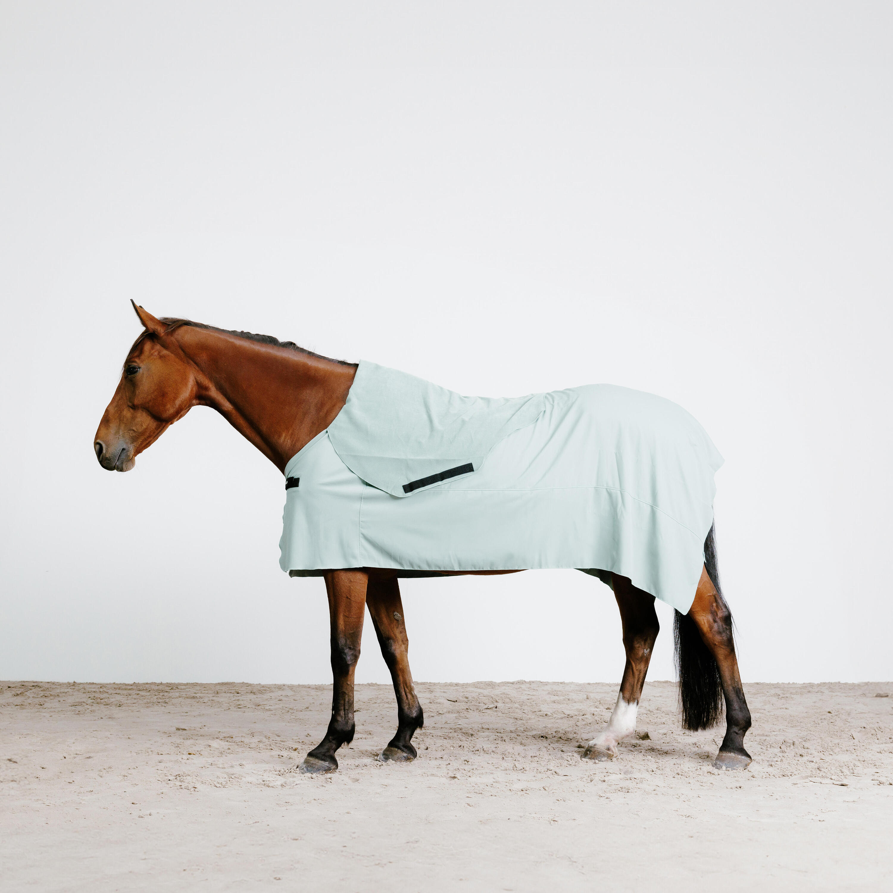 Abschwitzdecke Mikrofaser Pferd/Pony mit Halsteil türkis 2/6