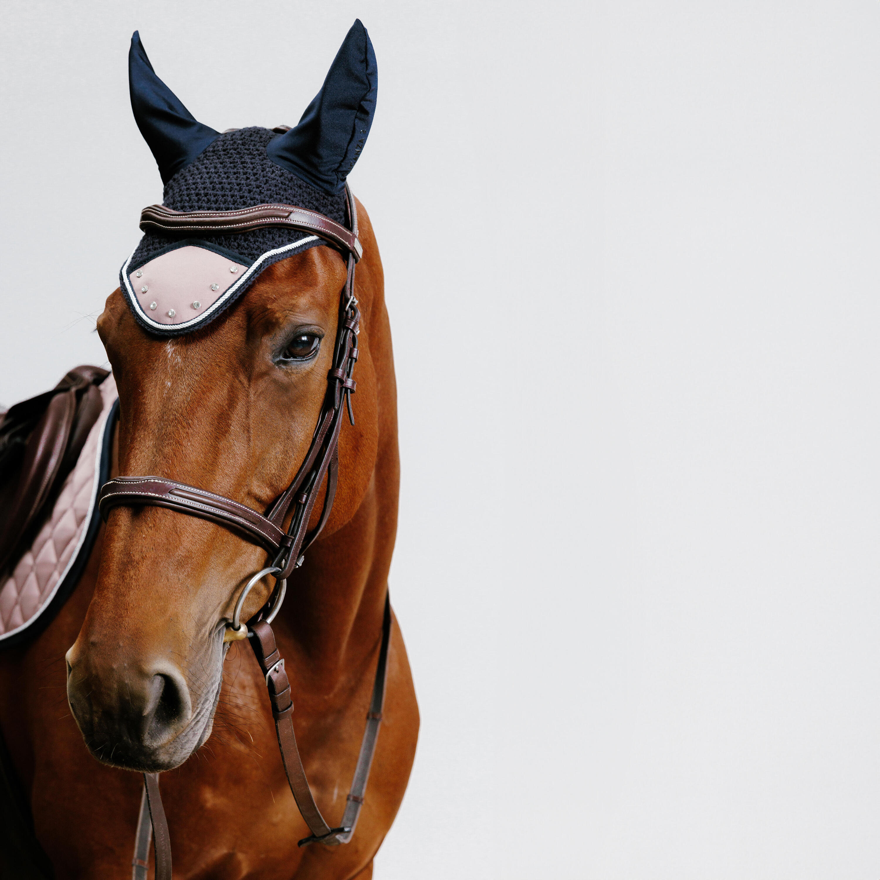 Cuffia equitazione cavallo STRASS rosa antico 4/4