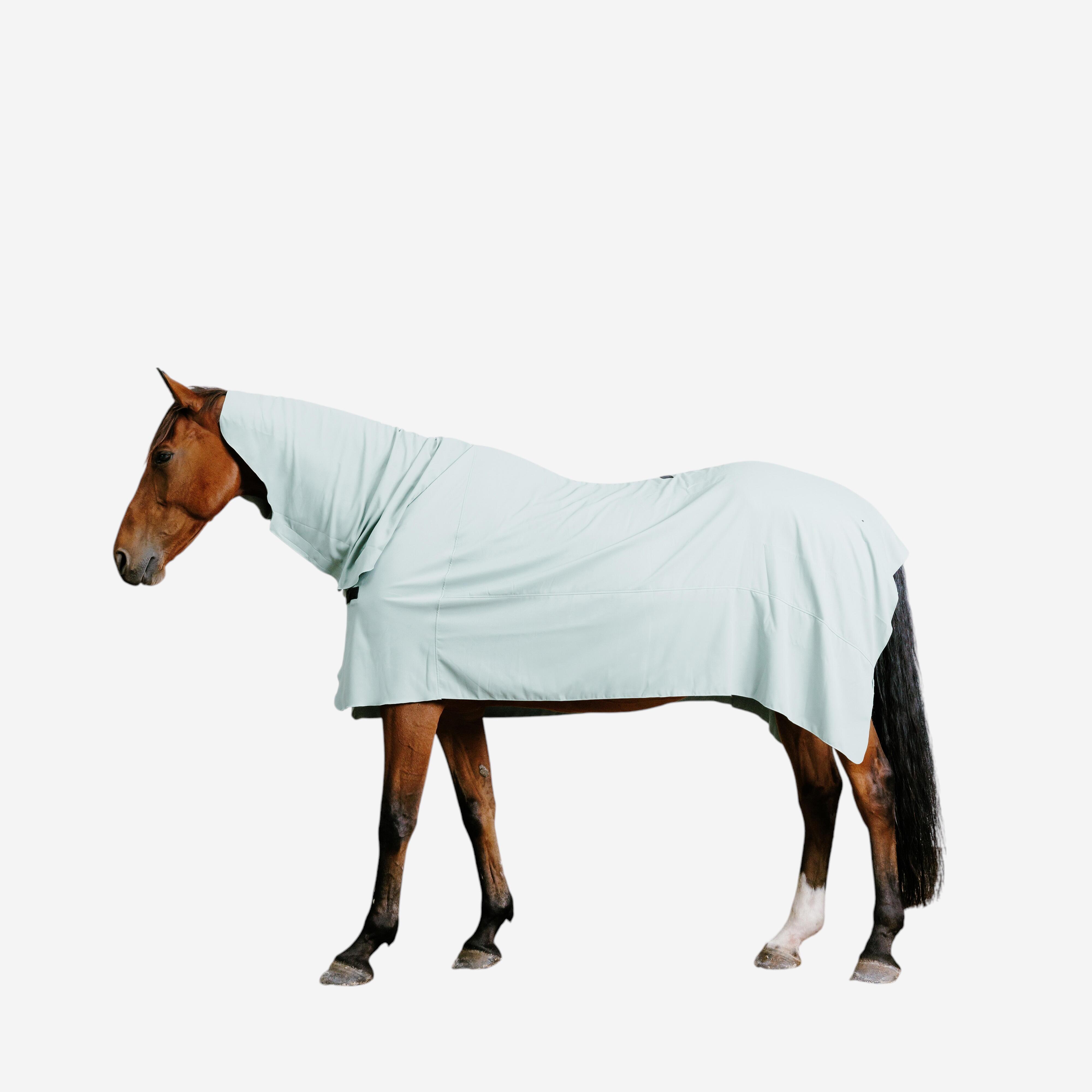 FOUGANZA Abschwitzdecke Mikrofaser Pferd/Pony mit Halsteil türkis | 03608391128265 FOUGANZA Abschwitzdecke Mikrofaser Pferd/Pony mit Halsteil türkis | 03608391128265