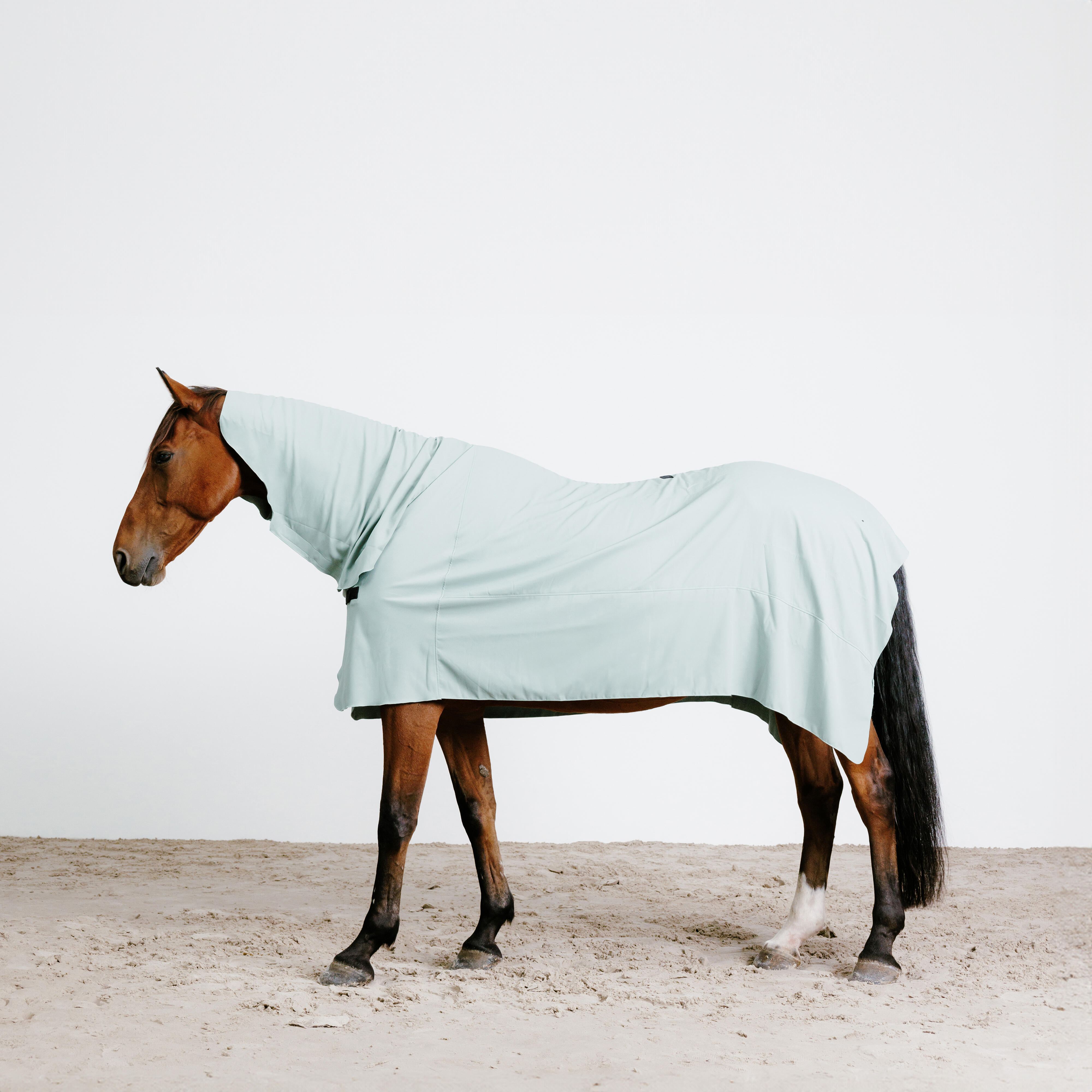 Horse microfiber integral drying shirt