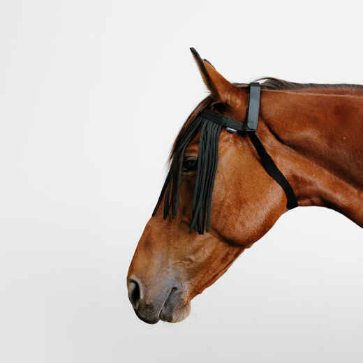 
      Fliegenschutz-Stirnband Pferd/Pony Fliegenfransen schwarz
  