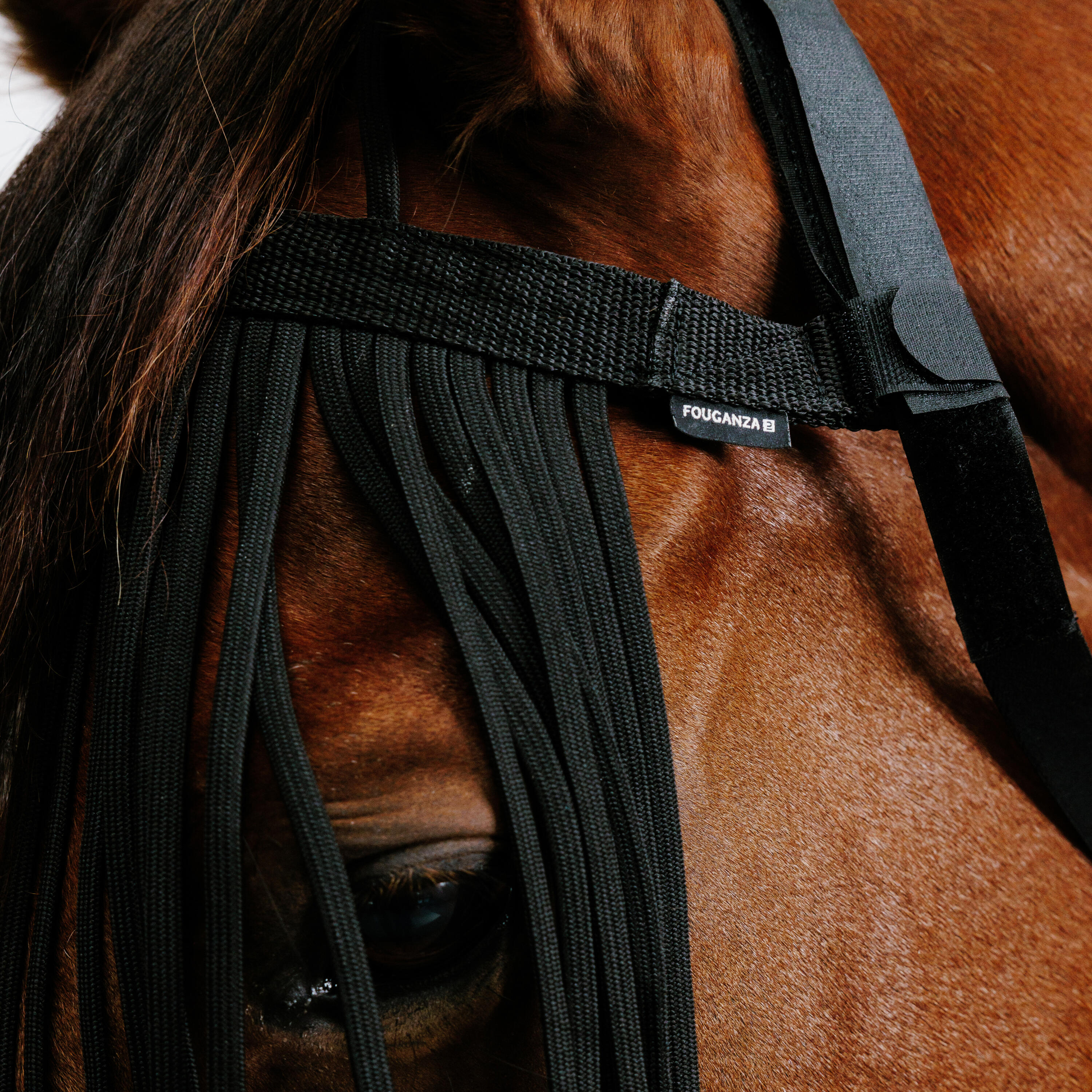 Frontalino antimosche equitazione pony e cavallo  nero 3/3