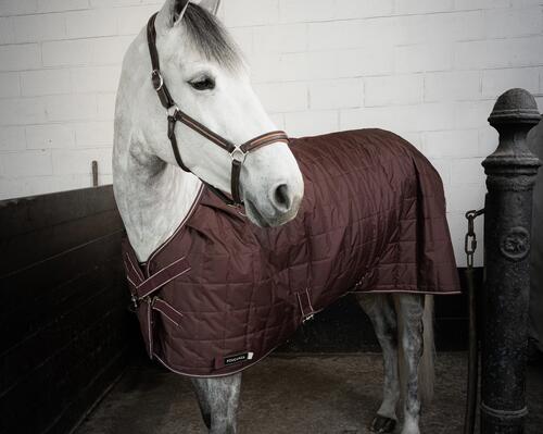 Come scegliere la coperta per il cavallo