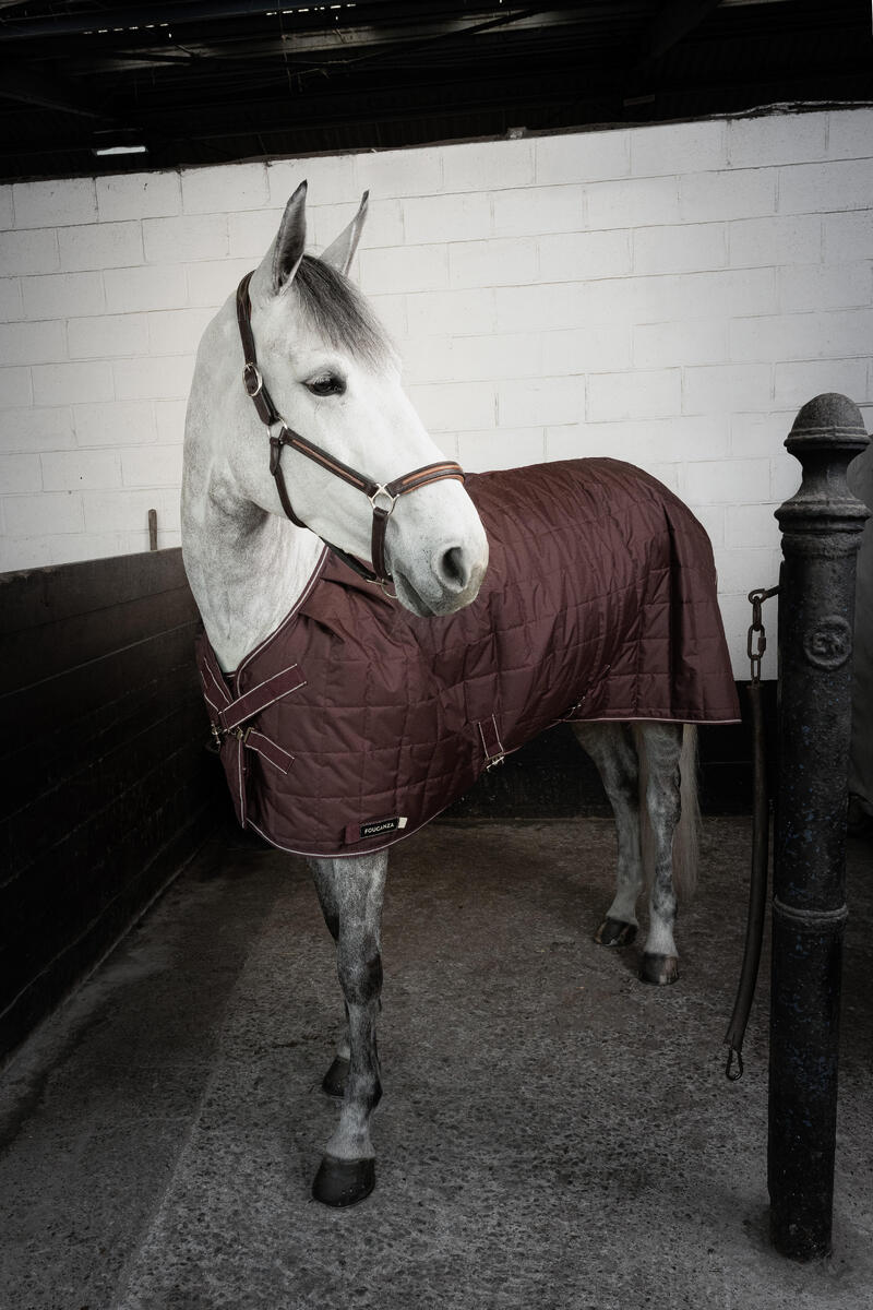 Come scegliere la coperta per il cavallo