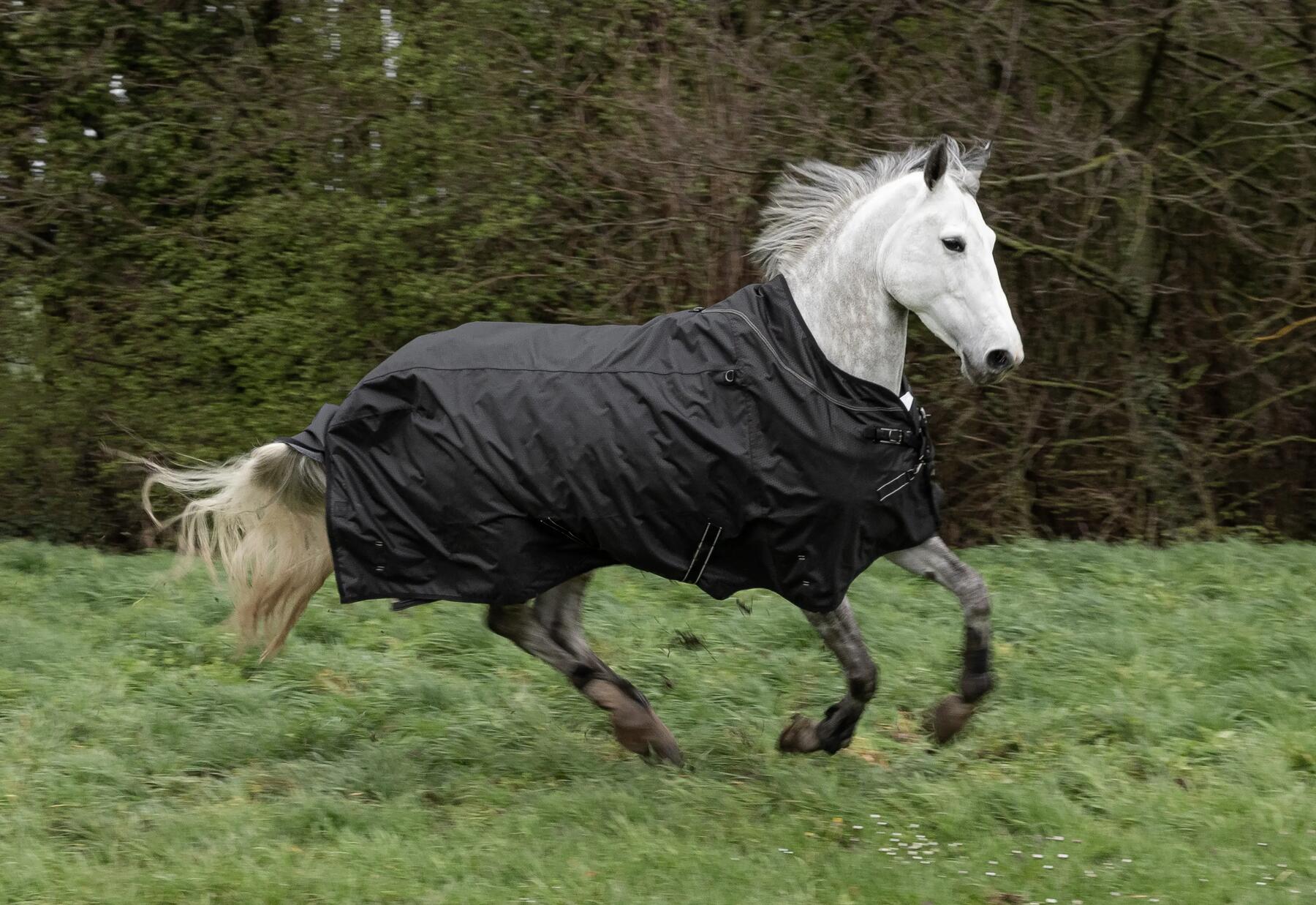 Imperméabiliser couverture cheval Bayeux – Entretien équipement équitation