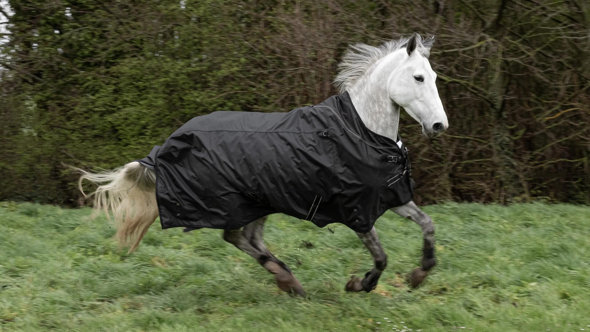 Idées cadeaux pour un cavalier