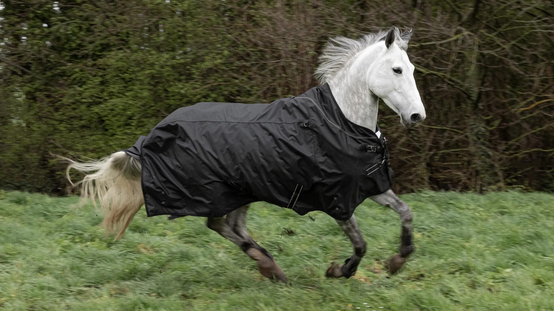 Couverture équitation écurie 50g Cheval et Poney - Combo 50 bordeaux