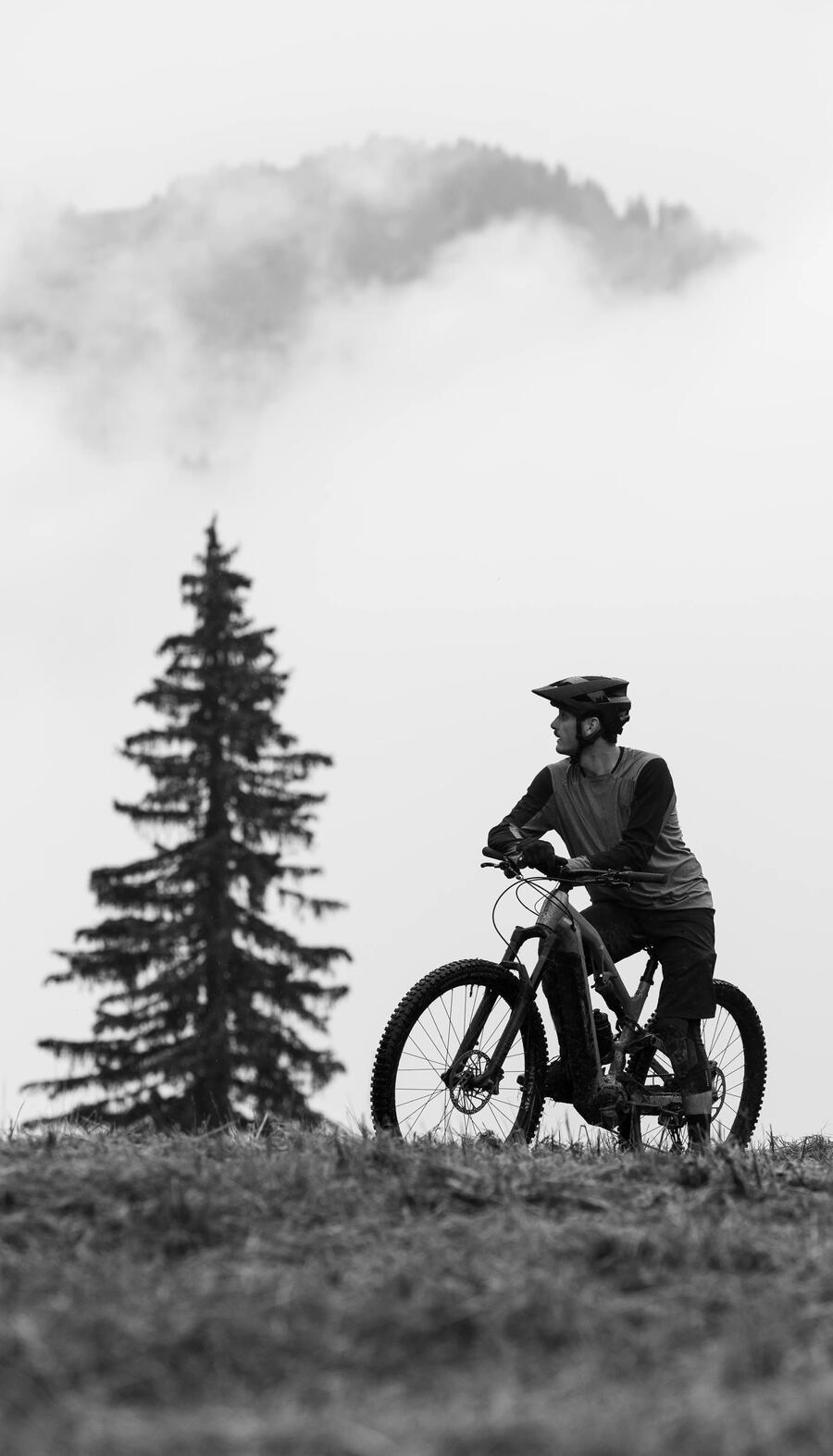 E-MOUNTAINBIKE E-ST 900 ROCKRIDER