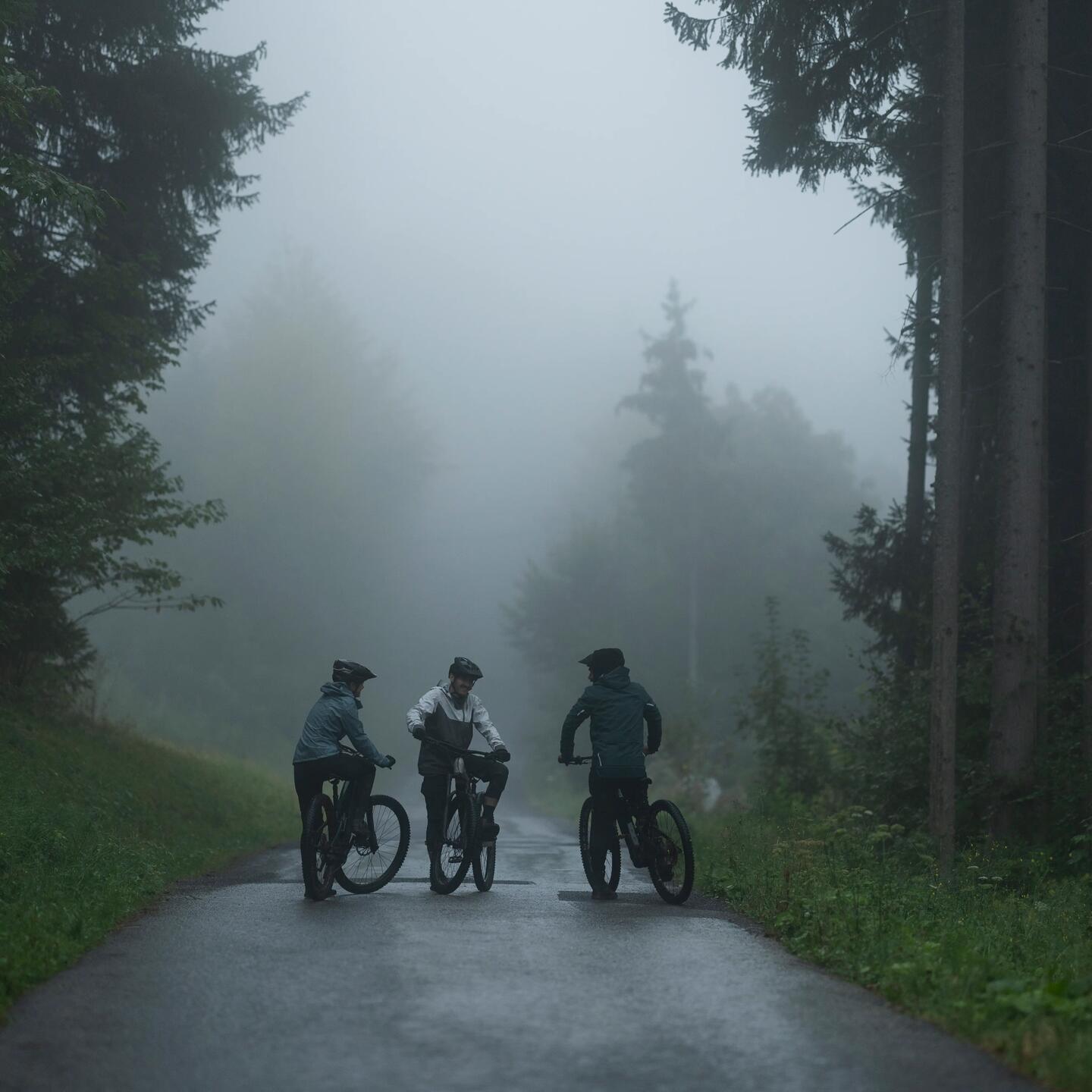 DECATHLON Fahrradpflege Image Mountainbike