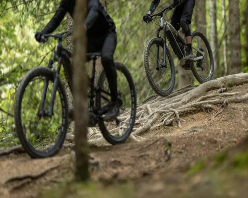 Mountainbike-Training und Ernährung: Energiestoffwechsel