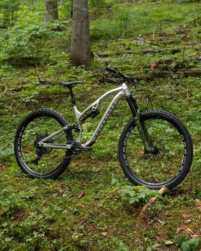 Grünes Mountainbike mit schwarzen Reifen steht im moosbedeckten, lichten Wald zwischen hohen, grauen Baumstämmen.