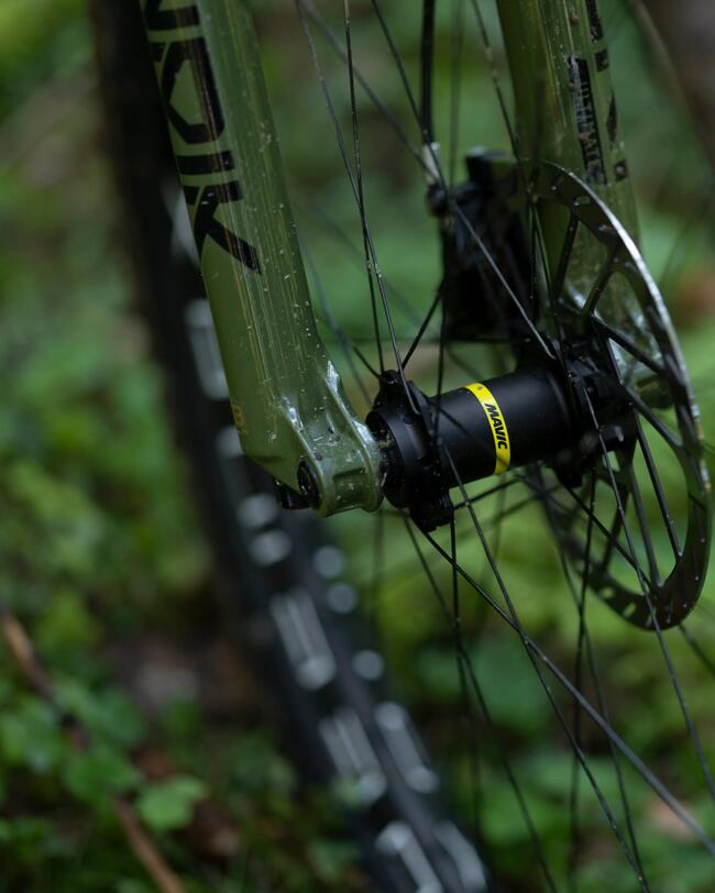 Grünes Fahrrad mit schwarzer Speichen-Nabe, silberner Bremsscheibe und grobem Reifenprofil auf grünem Waldboden.
