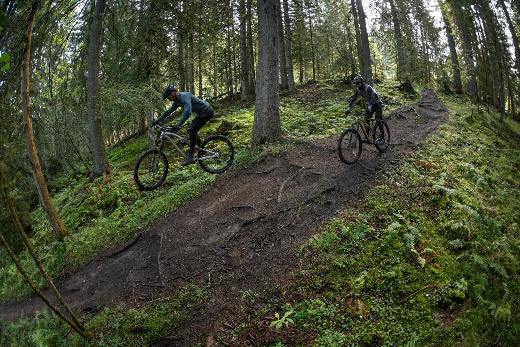 Rowerzyści jadący na rowerach MTB w lesie