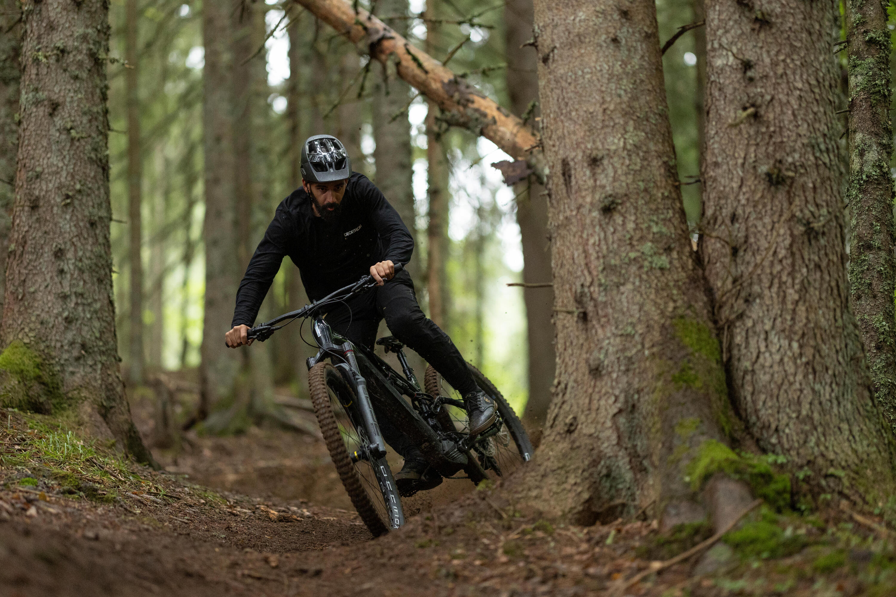 E-Mountainbike E-Feel 900 S 29" vollgefedert All Mountain Fahrrad Team Edition 11/14