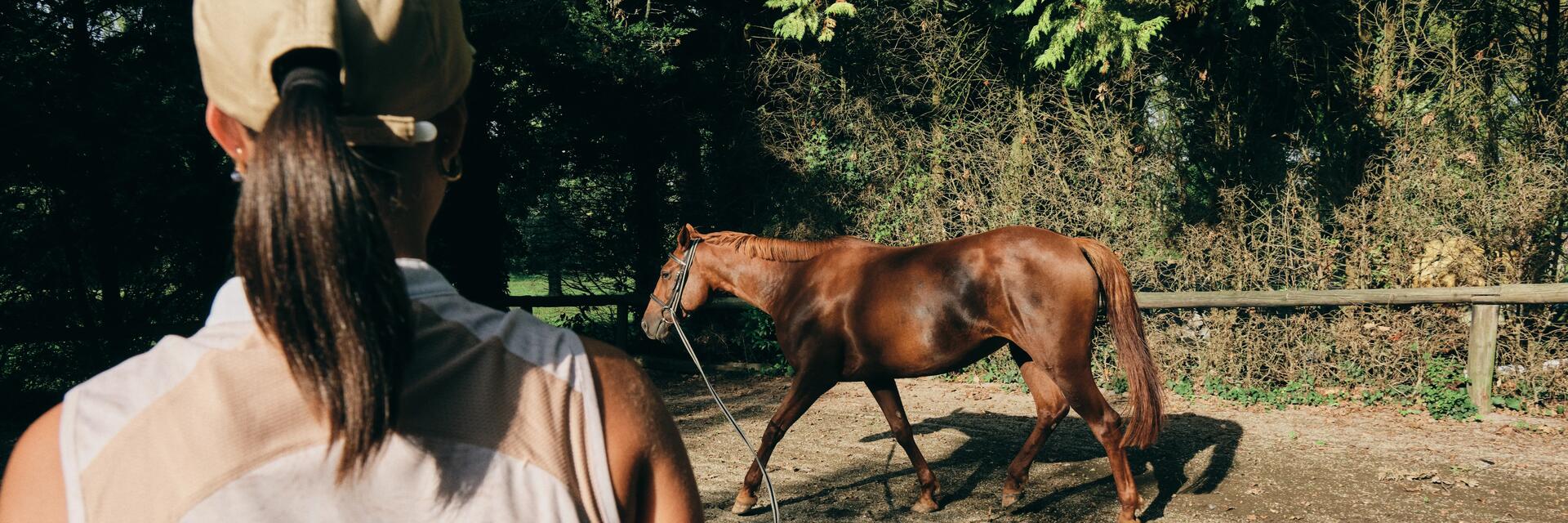 Équitation : la reconnaissance du parcours du CSO