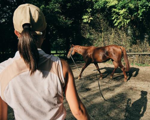 Équitation : la reconnaissance du parcours du CSO