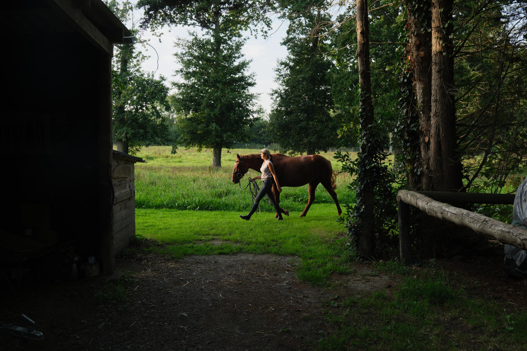 Je paard in de wei zetten