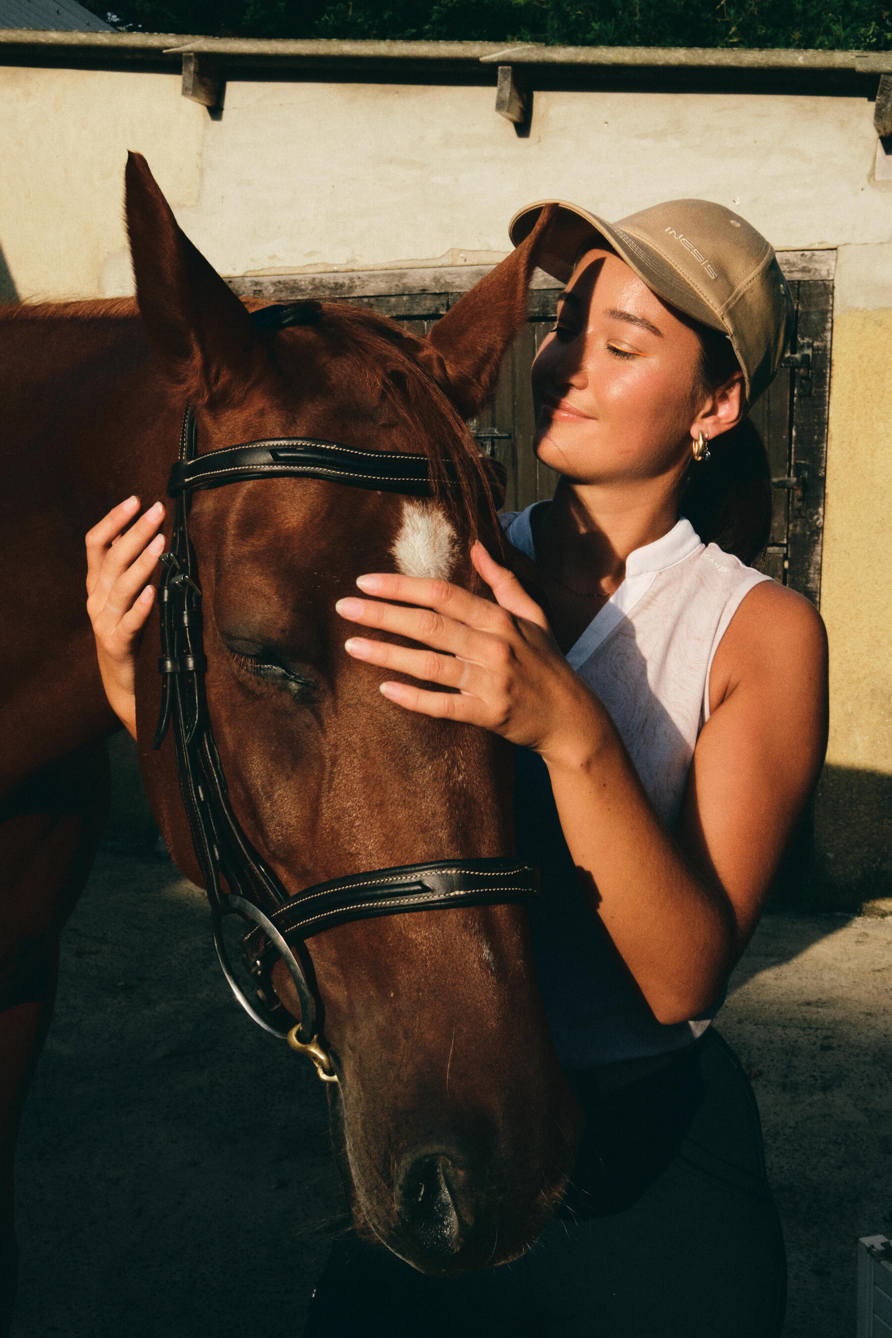 Lobe dein Pferd ausgiebig beim Verladetraining