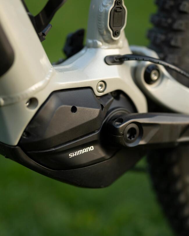 Nahaufnahme des schwarzen Shimano-Motors an einem hellen Fahrradrahmen, vor einem verschwommenen grünen Hintergrund.