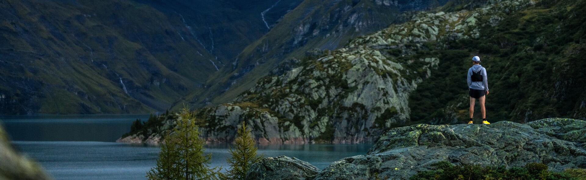 Picture of a forest