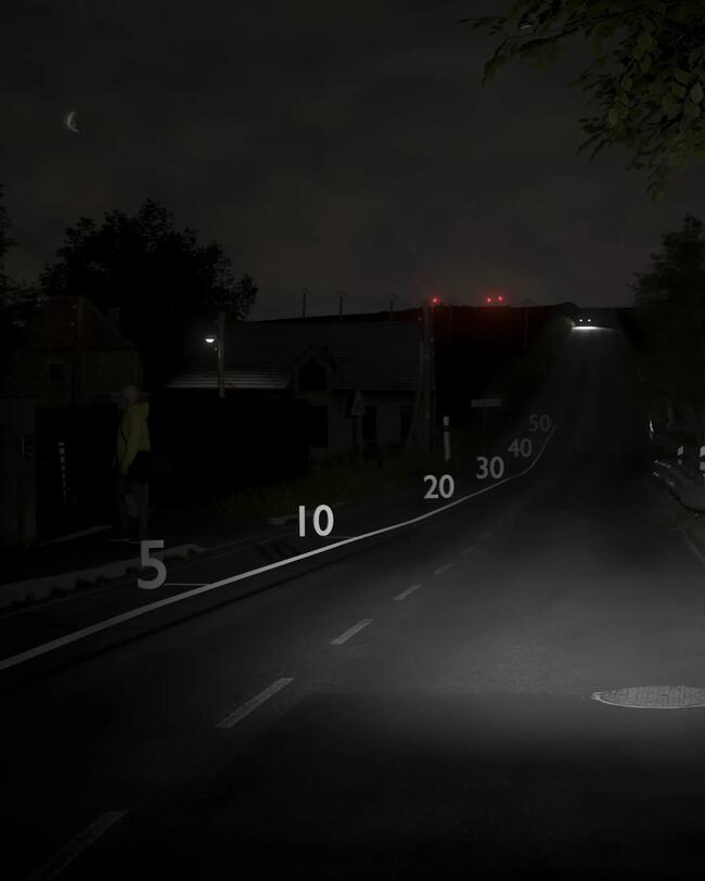 Dunkle Straße bei Nacht, schwaches Mondlicht, weiße Fahrbahnmarkierungen, rote Lichter, Verkehrsschild mit Baum und dichten Büschen.
