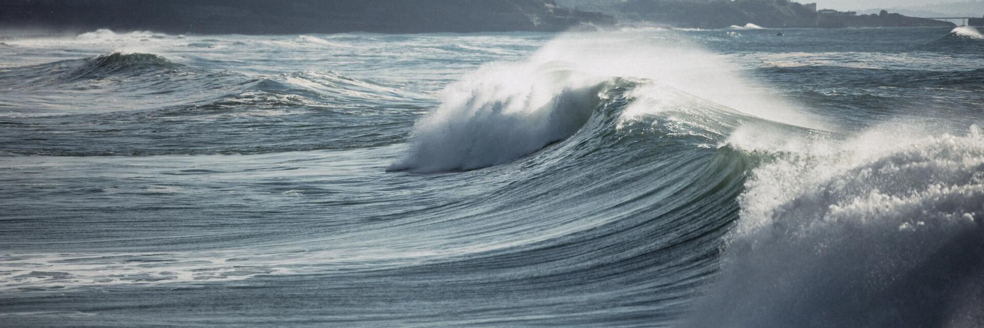 mergulhador no mar com tubarões