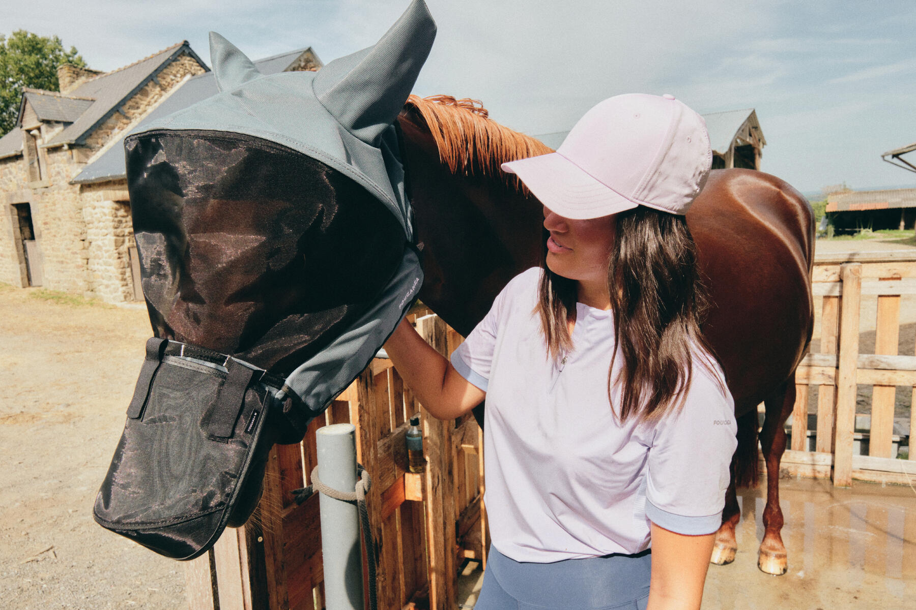 Alt/pourquoi protéger son cheval des insectes