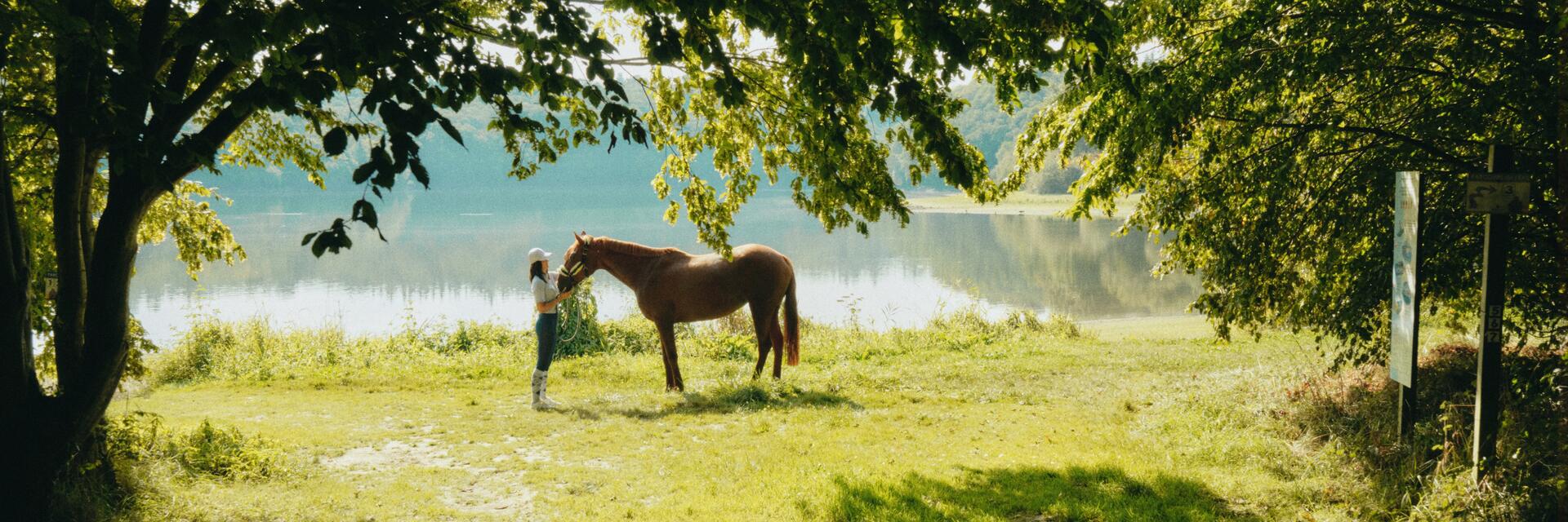 hebergement_cheval