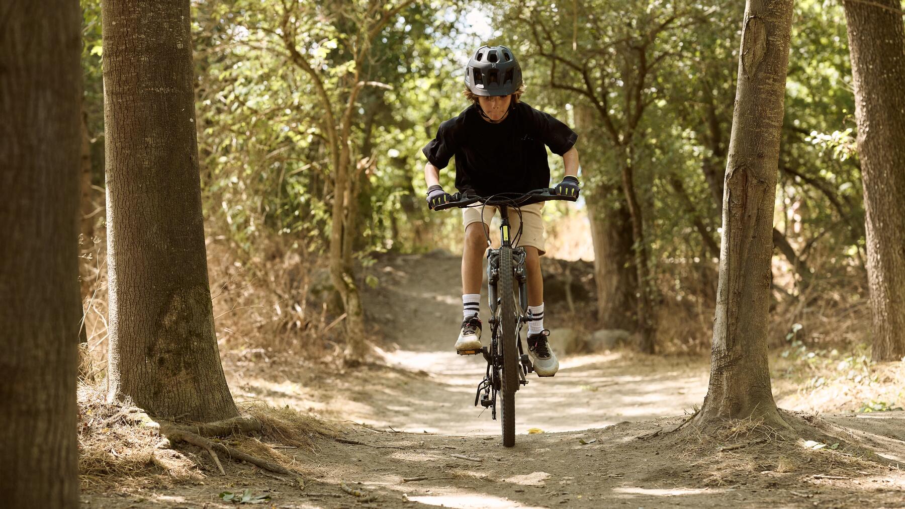 TRASEELE PENTRU BICICLETĂ ȘI DEZVOLTAREA CICLOTURISMULUI ÎN ROMÂNIA
