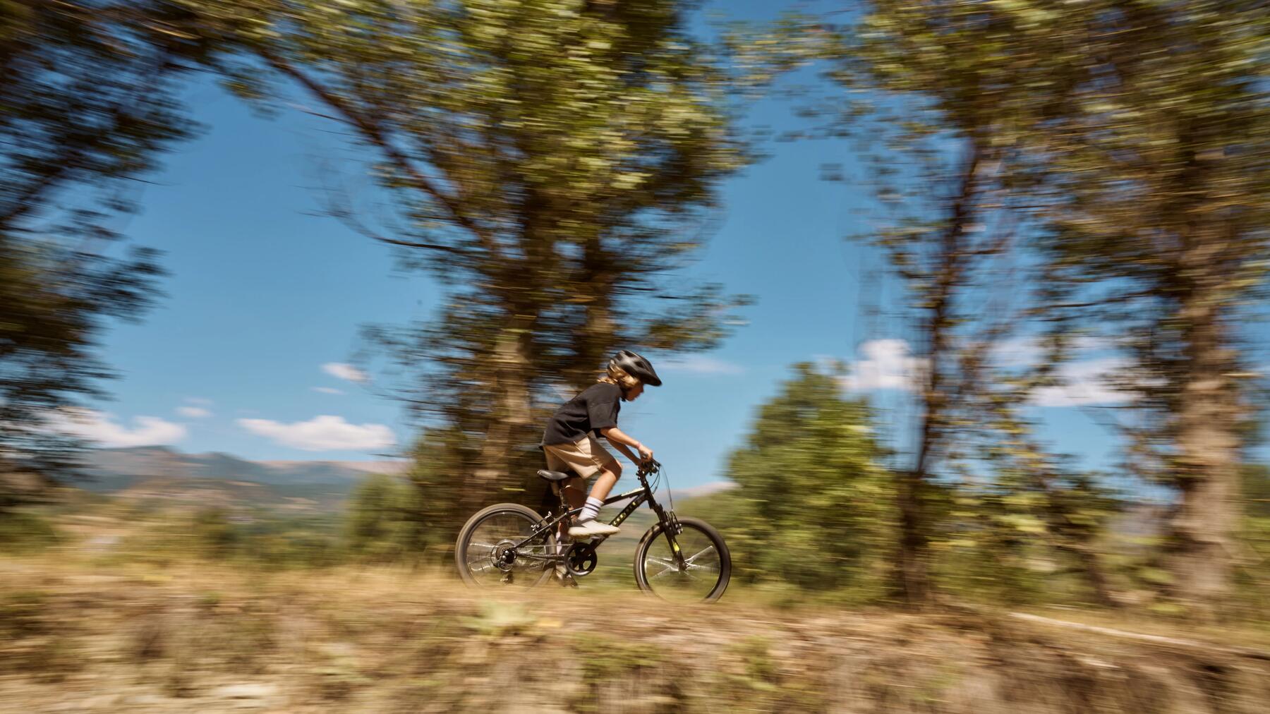 TRASEELE PENTRU BICICLETĂ ȘI DEZVOLTAREA CICLOTURISMULUI ÎN ROMÂNIA