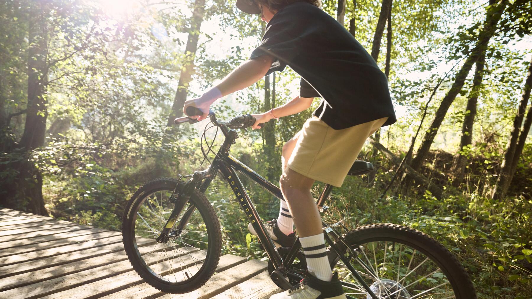 TRASEELE PENTRU BICICLETĂ ȘI DEZVOLTAREA CICLOTURISMULUI ÎN ROMÂNIA