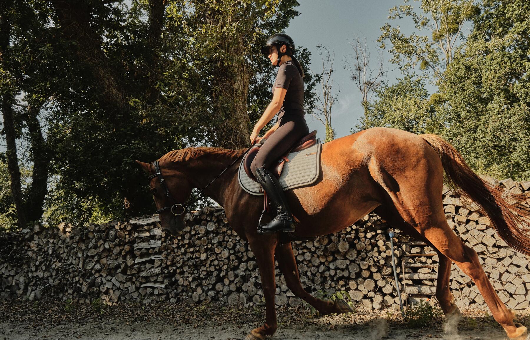 Was dir Bahnfiguren beim Reiten bringen. Für Reiter und Pferd