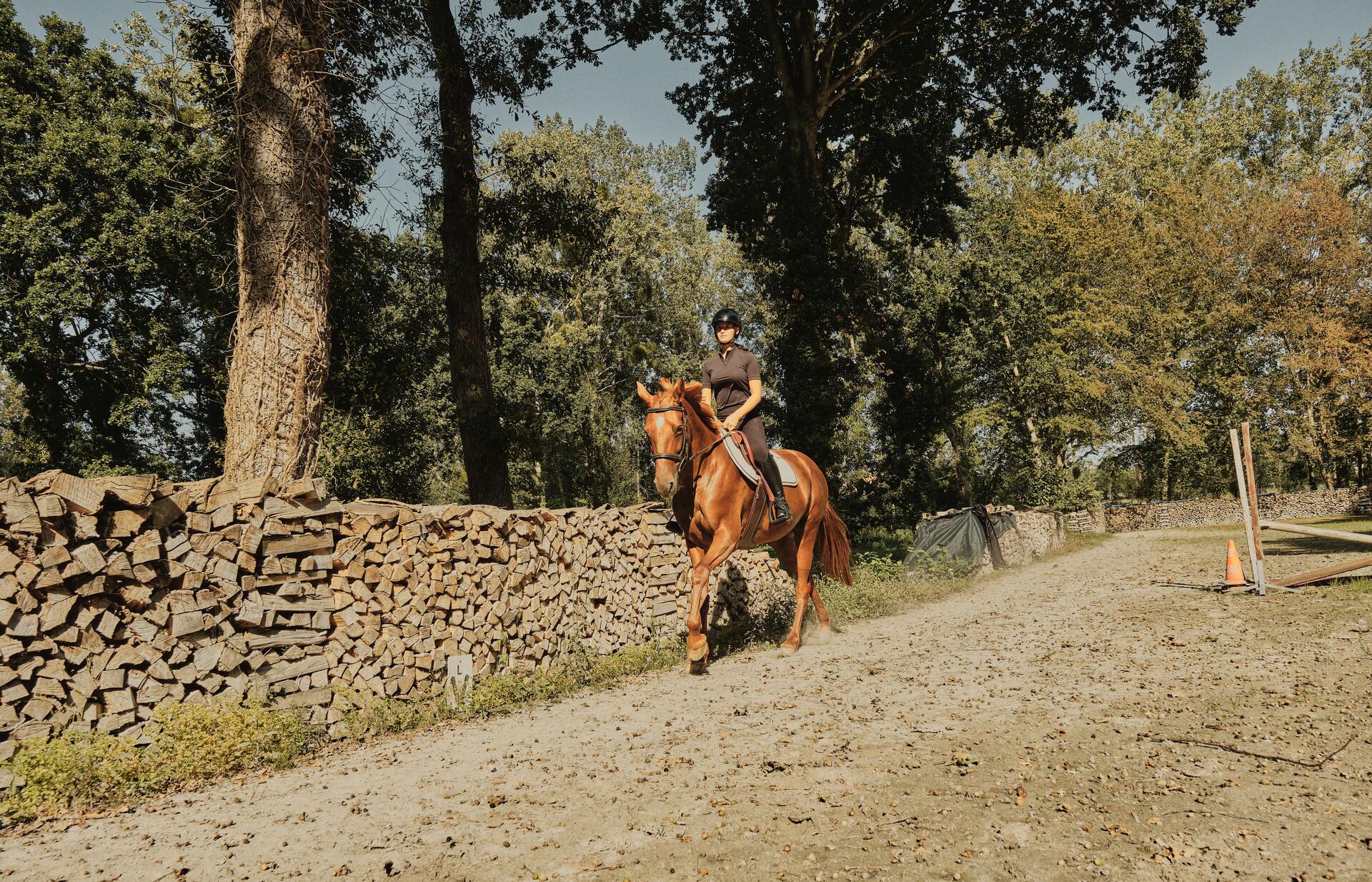 Hacer el Camino de Santiago a caballo