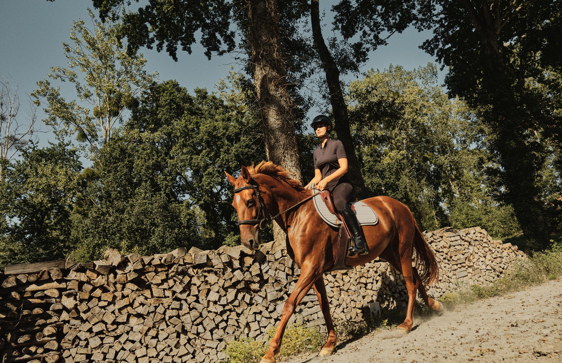 Dank dem Reiten fit bleiben! Erfahre hier, welche Vorteile dir das Reiten bringt