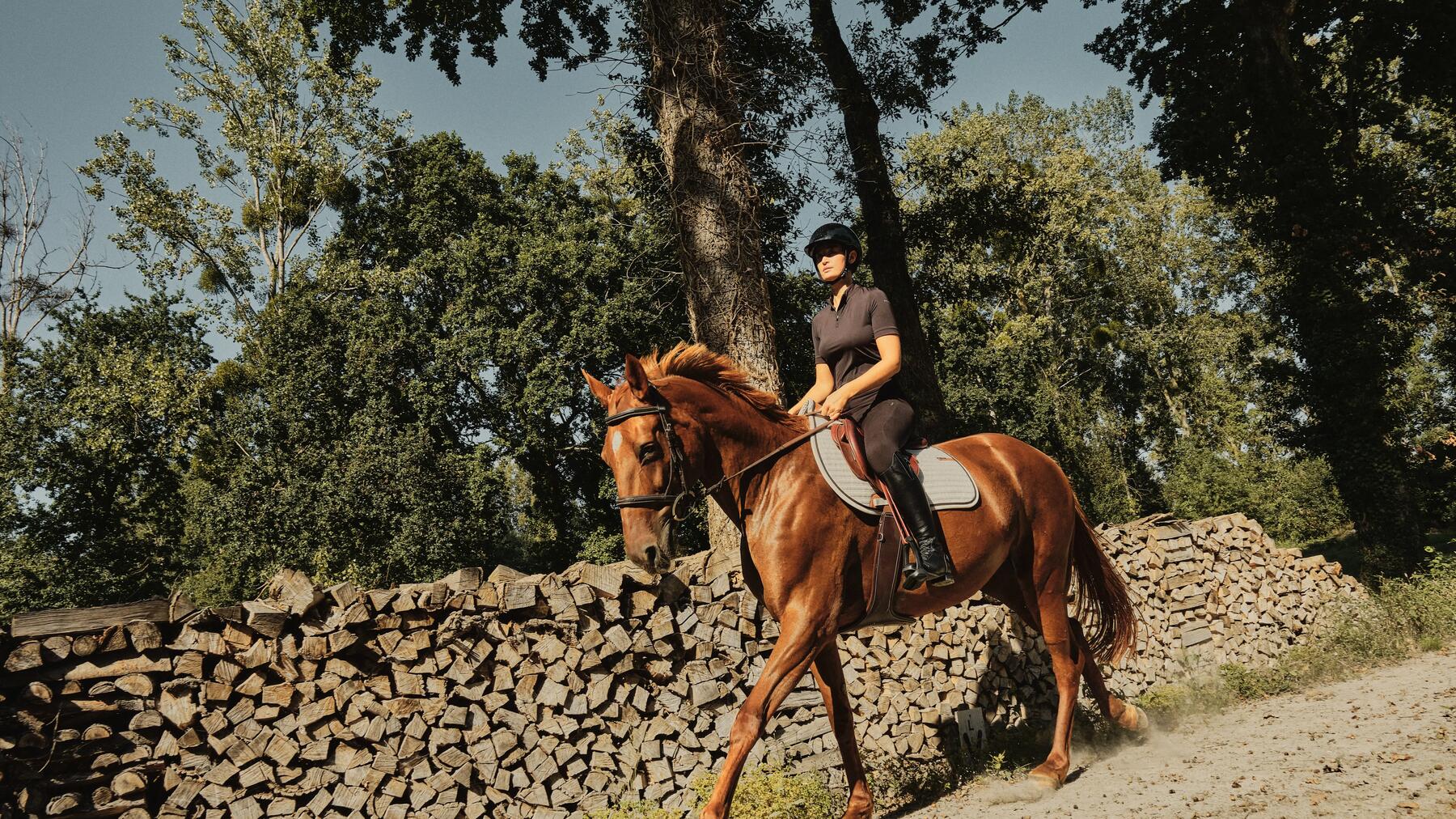 CUM SĂ ALEGI CIZMELE DE ECHITAȚIE