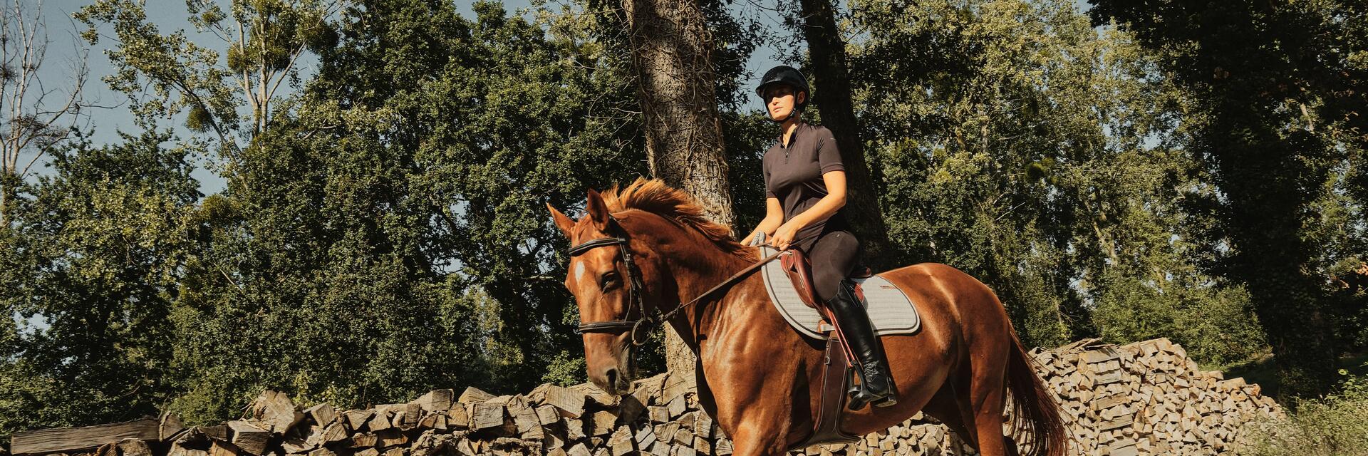 travailler-son-cheval-en-exterieur