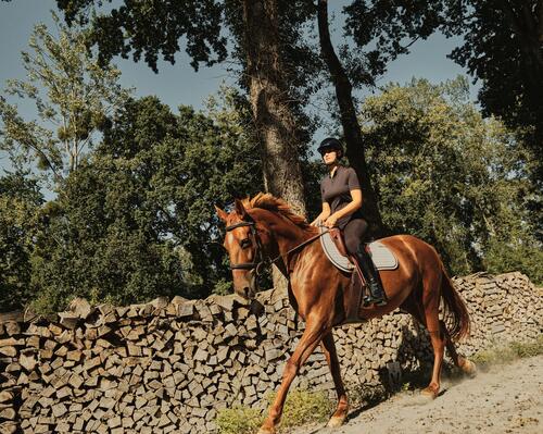 travailler-son-cheval-en-exterieur